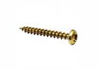 Reisser R2 Pan Head Pozi Woodscrew