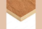 WBP Plywood Board Hardwood Faced 12mm 18mm