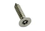 Pin Torx Countersunk Self Tapping Screw