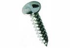 Clutch Head Security Woodscrews