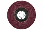 Flap Disc