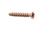 Reisser R2 Countersunk Pozi Hinge Screw