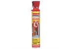 Standard Expanding Foam B3