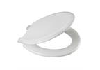 White Plastic Toilet Seat